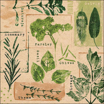 Napkin 33 Recycled Herb prints nature FSC Mix