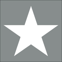 Napkin 33 Star grey FSC Mix