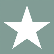 Napkin 33 Star sage FSC Mix