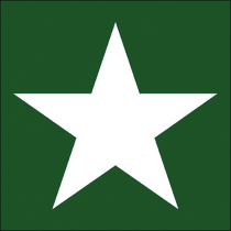 Napkin 33 Star green FSC Mix