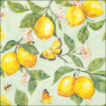Napkin 33 Fresh lemons green FSC Mix