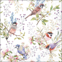 Napkin 33 Busy birds FSC Mix