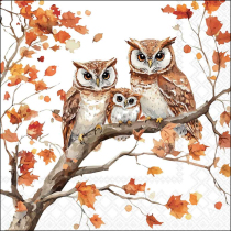 Napkin 33 Family of owls FSC Mix