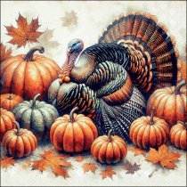 Napkin 33 Turkey FSC Mix