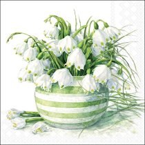 Napkin 33 Potted snowdrops FSC Mix