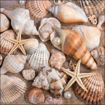 Napkin 33 Sea shells FSC Mix