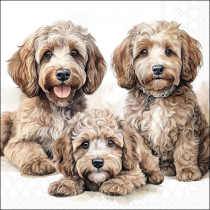 Napkin 33 Labradoodles FSC Mix