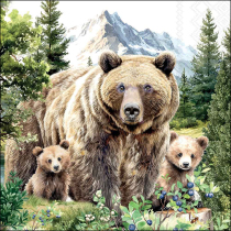 Napkin 33 Grizzly bears FSC Mix