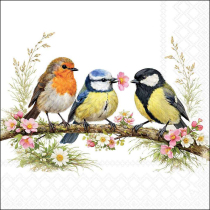 Napkin 33 Bird friends FSC Mix