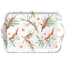 Tray melamine 13x21 cm Sea buckthorn