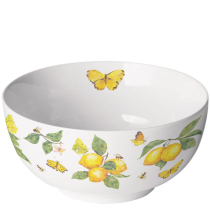 Bowl Fresh lemons white