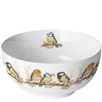 Bowl Bird friends