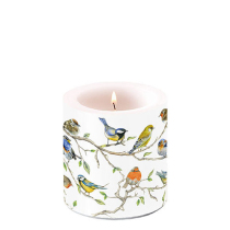 Candle small Birds meeting