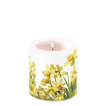 Candle small Golden daffodils