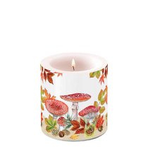 Candle small Fly agaric group