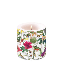 Candle small Tropical jungle
