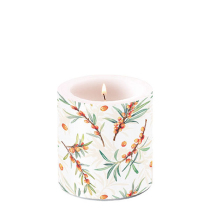 Candle small Sea buckthorn