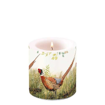 Candle small Glorious pheasant
