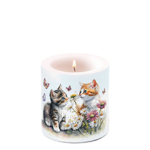 Candle small Kittens in flower field