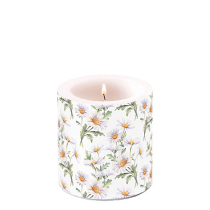 Candle small Beautiful daisies white