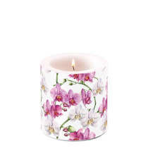 Candle small Elegant orchids white