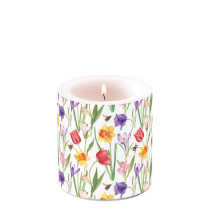 Candle small Flowers in spring