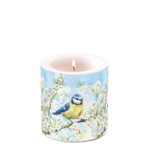 Candle small Blossom time