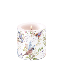 Candle small Busy birds