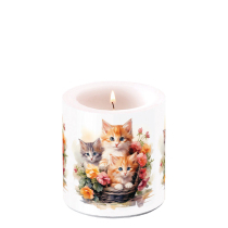 Candle small Kittens in basket