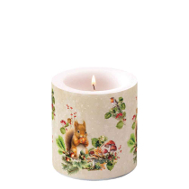 Candle small Fruit collector