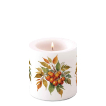 Candle small Sea buckthorn bunch