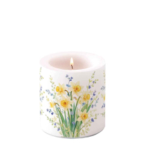 Candle small Daffodil wildflowers