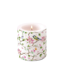 Candle small Lively blossom tree