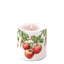 Candle small Apple tree