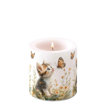 Candle small Kitten and butterfly