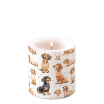 Candle small Dachshund dreams