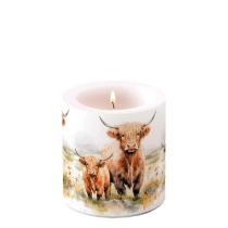 Candle small Highland cows