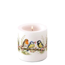 Candle small Bird friends