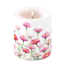 Candle medium Painted bellis