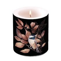 Candle medium Lovely chickadee black