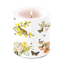 Candle medium Spring awakening