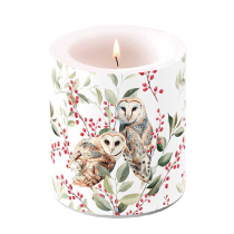 Candle medium Barn owl couple white