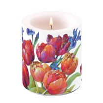 Candle medium Tulips of joy
