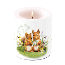 Candle medium Little squirrels