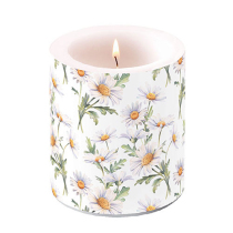 Candle medium Beautiful daisies white