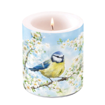 Candle medium Blossom time