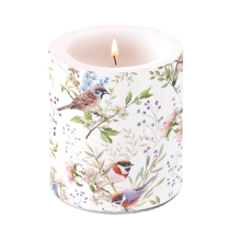 Candle medium Busy birds