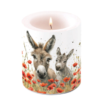Candle medium Lilly & Lou