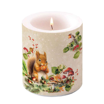 Candle medium Fruit collector