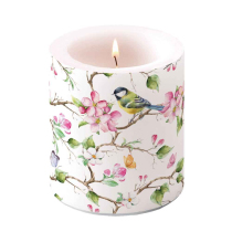 Candle medium Lively blossom tree